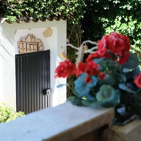 Apartmán Attico Intimo Ed Accogliente - Airport Fiumicino